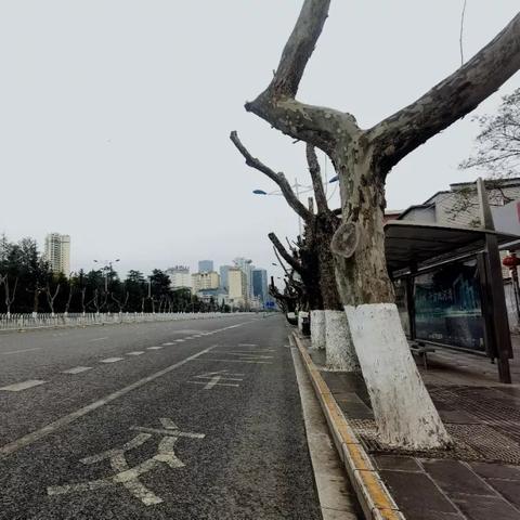 近三天天气情况如何（未来三天）