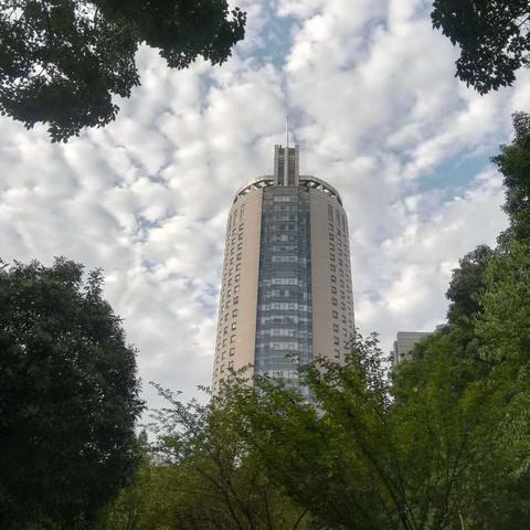 焦作天气预报，明日晴转多云，气温回升宜出行