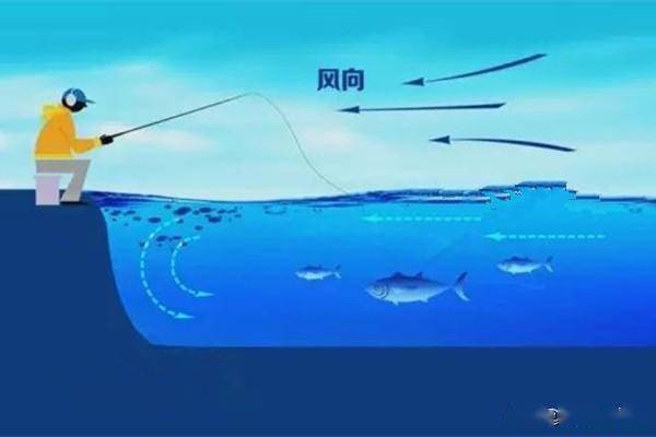 天机可测，渔获可期—钓鱼人专用天气预报的智慧与妙用