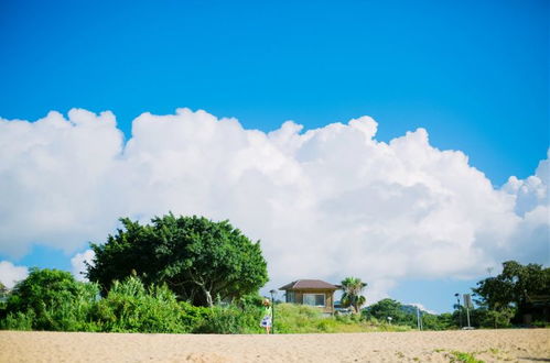 山东青岛天气,海风里的四季诗篇 山东青岛天气,海风里的四季诗篇