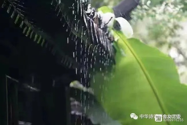 听雨问时，一场从清晨到午后三刻的独白