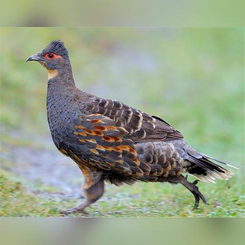 未来60天天气趋势预判，科学解读与生活应对指南
